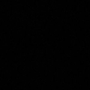 Meet your Posher, Brady